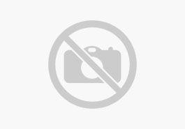 VOLVO XC60 Momentum Pro 2WD B4 Diesel EU6d AHK digital
